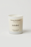 Jasmine - Standard Candle White