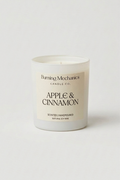 Apple & Cinnamon - Standard Candle White